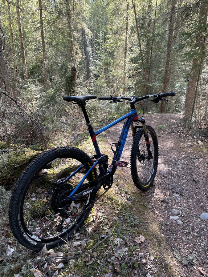 Bike photo