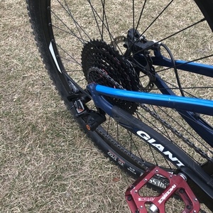 2015 Giant Anthem 1 Blue