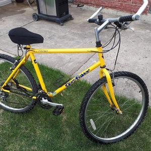 2000 Gary Fisher Piranha Yellow or Gold