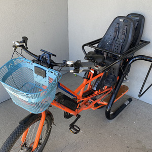 2018 Rad Power Bikes Radwagon Orange