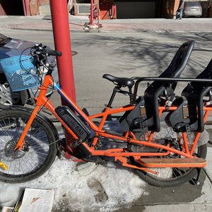 2018 Rad Power Bikes Radwagon Orange