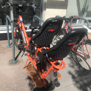 2018 Rad Power Bikes Radwagon Orange