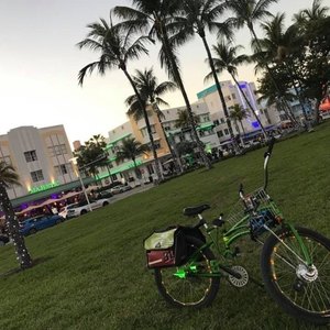 2021 Custom its 3 bikes Green