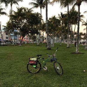 2021 Custom its 3 bikes Green
