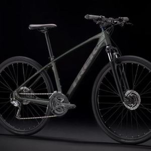 2021 Trek Dual Sport 3 Silver, gray or bare metal