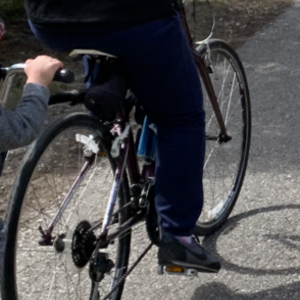 2012 Trek Hybrid Purple