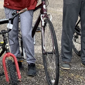 2012 Trek Hybrid Purple