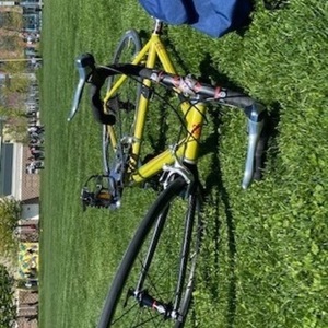 2009 Pegoretti Duende Yellow or Gold