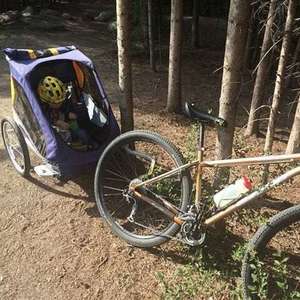 Rocky Mountain Bicycles Hammer 29 Orange