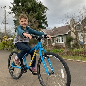 2020 Kona Hula Blue and Yellow or Gold