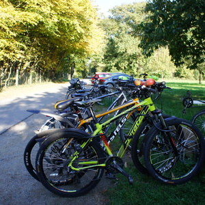 2014 Corrotec Xvert Motion 2014 Corrotec Xvert Motion 2014, 44 cm Yellow or Gold and Red