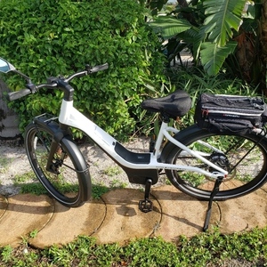 2021 Serial 1 Cycle Co. Rush/City Step-Thru White