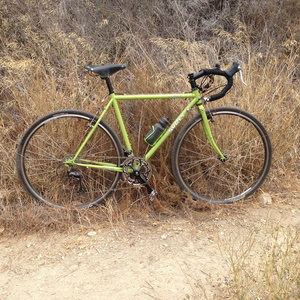 2015 Surly Cross Check Green