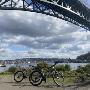 2021 Marin Bikes Silver, gray or bare metal and Red