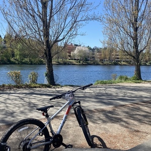 2021 Marin Bikes Silver, gray or bare metal and Red