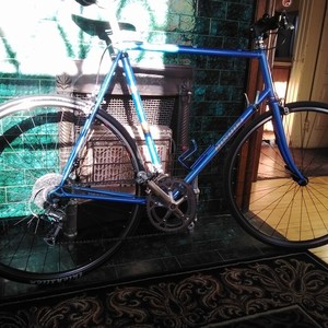 Nishiki Competition Blue