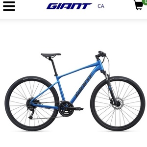 2021 Woodcock Cycle Giant Roam 2 Blue