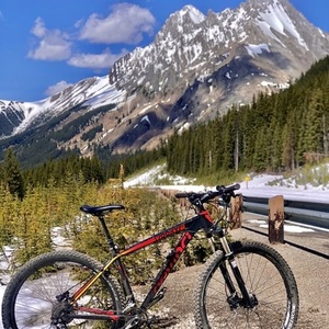 2014 Devinci Wooky xp Black