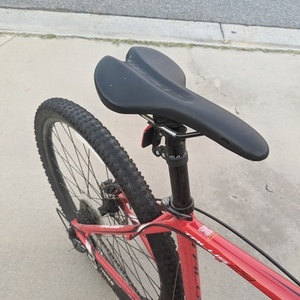 Raleigh Talus 29 Red