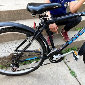 Raleigh Frontier Black