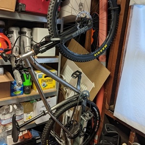 2020 Salsa Timberjack Silver, gray or bare metal