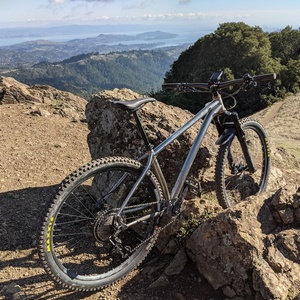 2020 Salsa Timberjack Silver, gray or bare metal