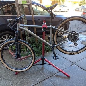 2020 Salsa Timberjack Silver, gray or bare metal