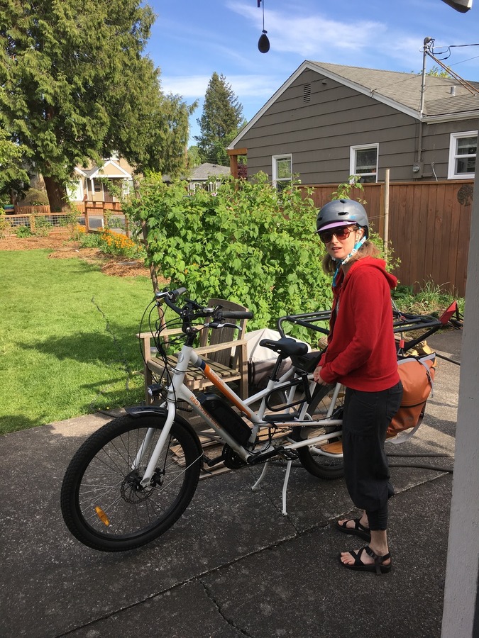Cargo Bike Rear photo
