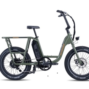 2020 Rad Power Bikes Green
