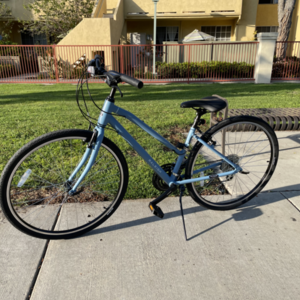 2020 Raleigh Detour 1 Step-Thru Blue