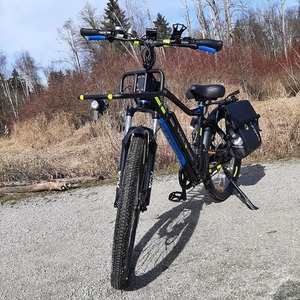 2020 Voltbike Bravo 2020 Black and Blue