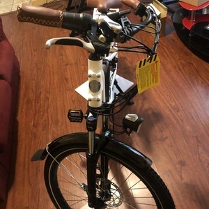 2021 Rad Power Bikes CU3A21F1969 White and Black