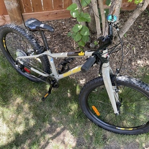 2021 Rocky Mountain Bicycles Edge Beige Brown