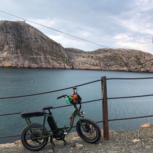 2020 Rad Power Bikes RadRunner Green