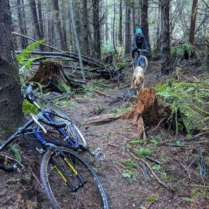 1996 Trek 750 Purple