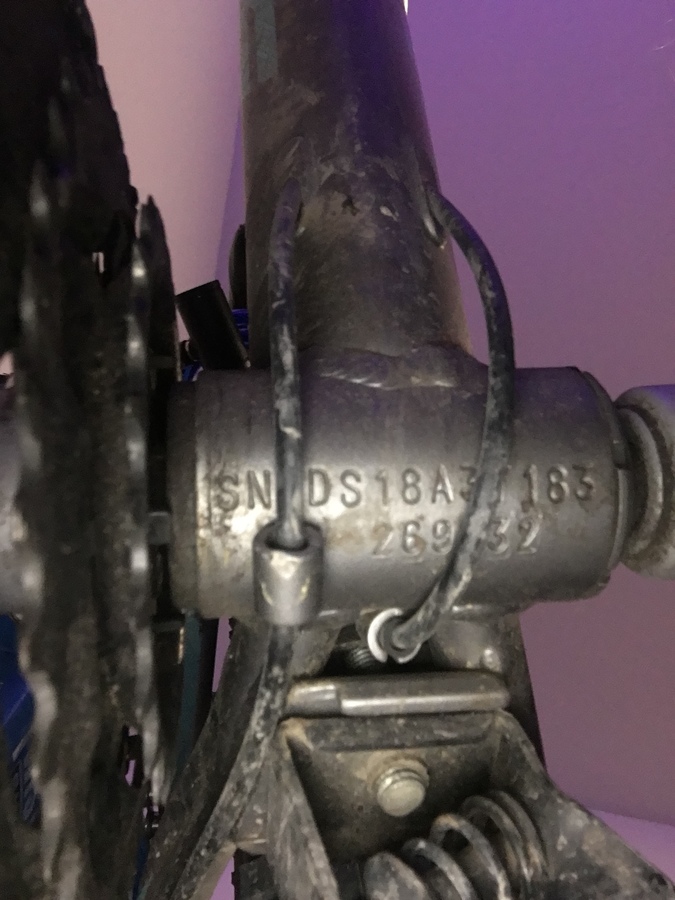 Bike photo