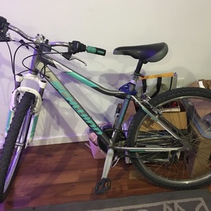 Schwinn BREAKER 26” Mountain Series Teal, White, and Silver, gray or bare metal