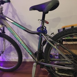 Schwinn BREAKER 26” Mountain Series Teal, White, and Silver, gray or bare metal