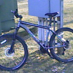 2008 Raleigh Med Silver or Gray