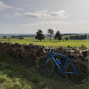 2017 Carrera bicycles aluminium road bike Blue