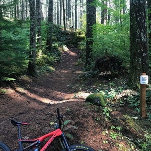 2018 Orbea Rallon LTD Red