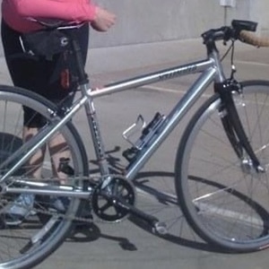 2009 Specialized Langster Silver, gray or bare metal