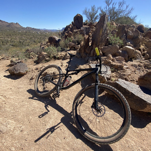 2021 Specialized Epic Evo Green