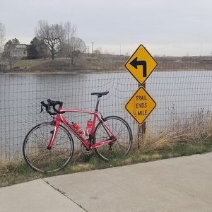 2014 Specialized Tarmac SL4 Sport Red