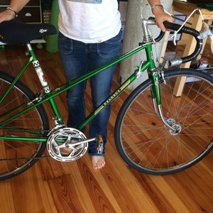 1973 Peugeot Tour du monde (medium) Green