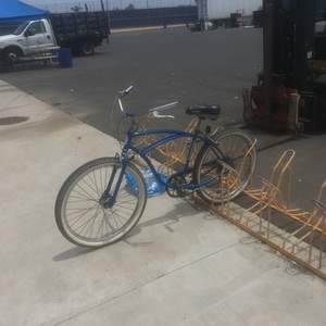 Schwinn Blue