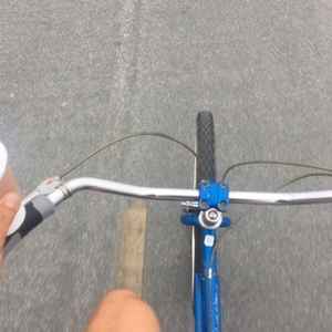 Schwinn Blue