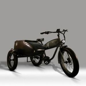 2021 MOD Easy E-bike w/ sidecar EASY w/ SIDECAR Green