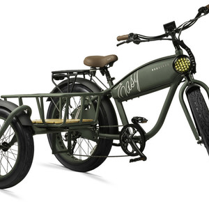 2021 MOD Easy E-bike w/ sidecar EASY w/ SIDECAR Green