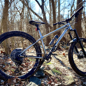 2021 Commencal Bikes Meta HT AM Silver, gray or bare metal